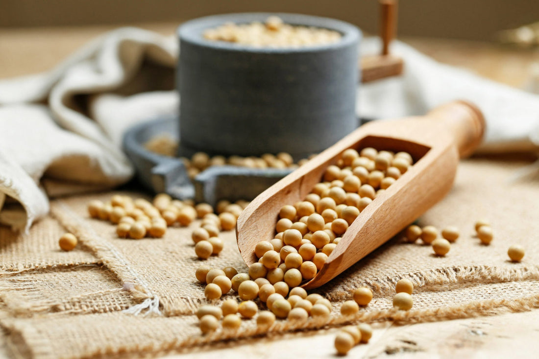 Nattokinase: o que é e quais seus benefícios para a sua saúde?